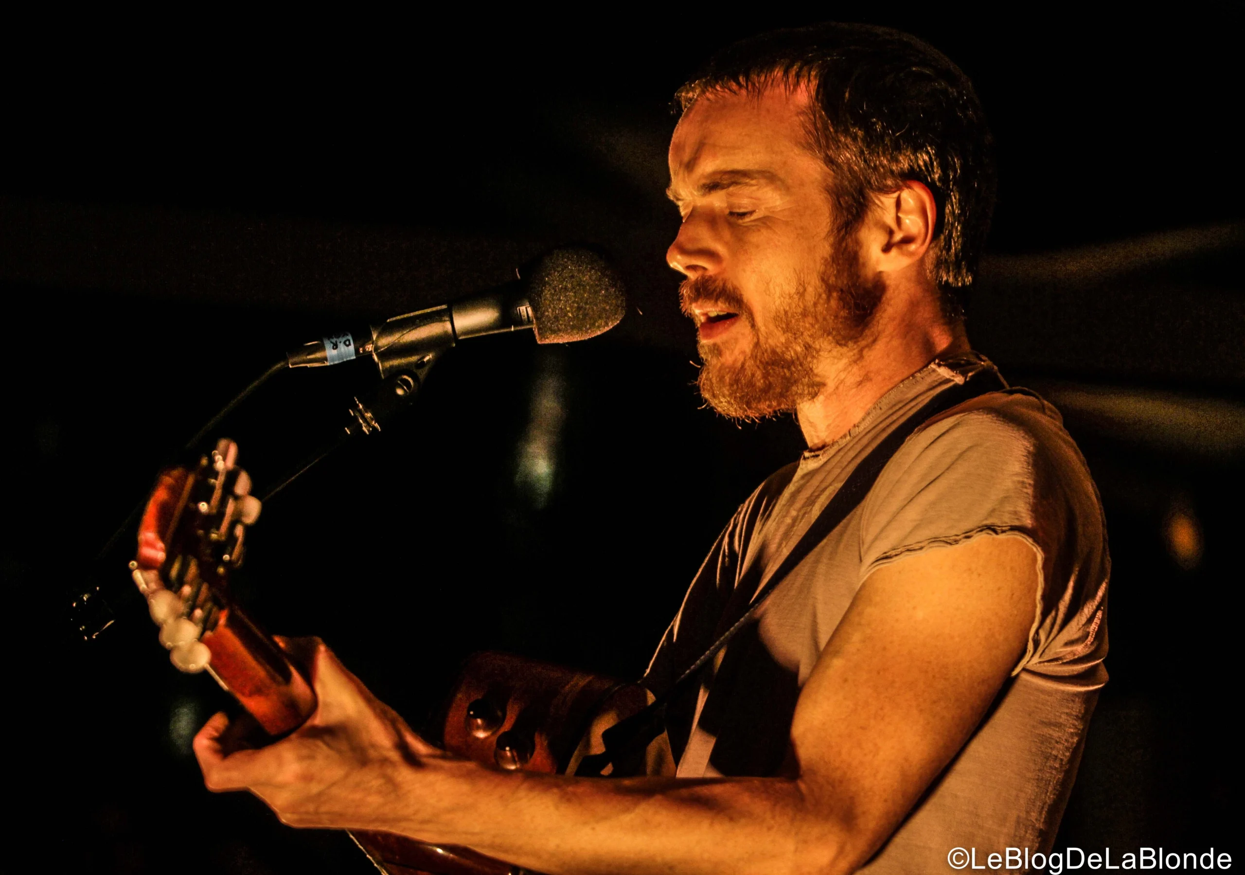 Damien Rice Paris_-10<br />
 0 faves<br />
 0 comments<br />
Uploaded on November 7, 2014<br />
Taken on November 6, 2014  by<br />
LeBlogDeLaBlon. Attribution 2.0 Generic</p>
<p>CC BY 2.0<br />
Deed