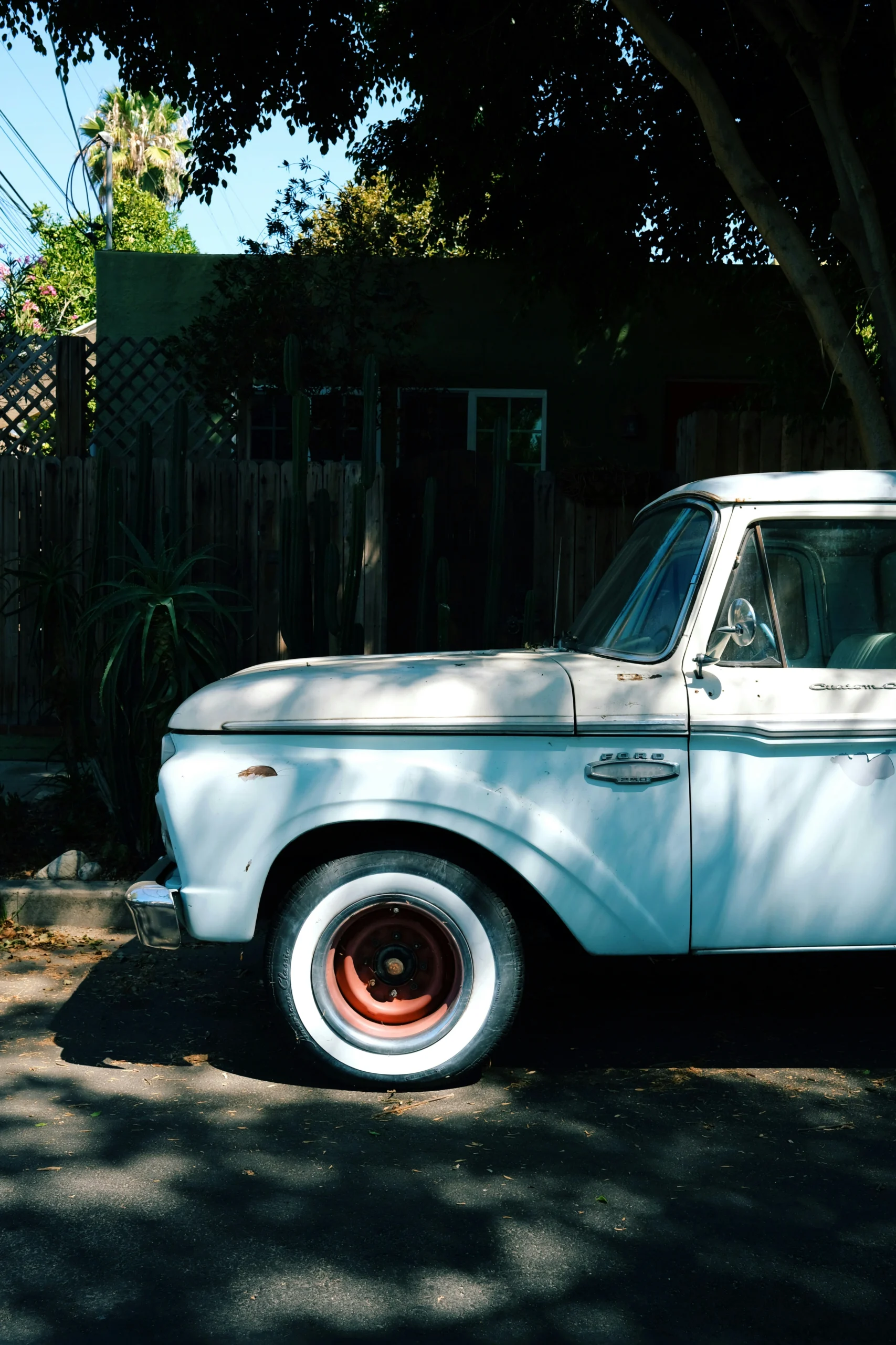 Photo by Mike Von Laurel Canyon, Los Angeles, CA, USA Published on August 29, 2021 FUJIFILM, X100V Free to use under the Unsplash License