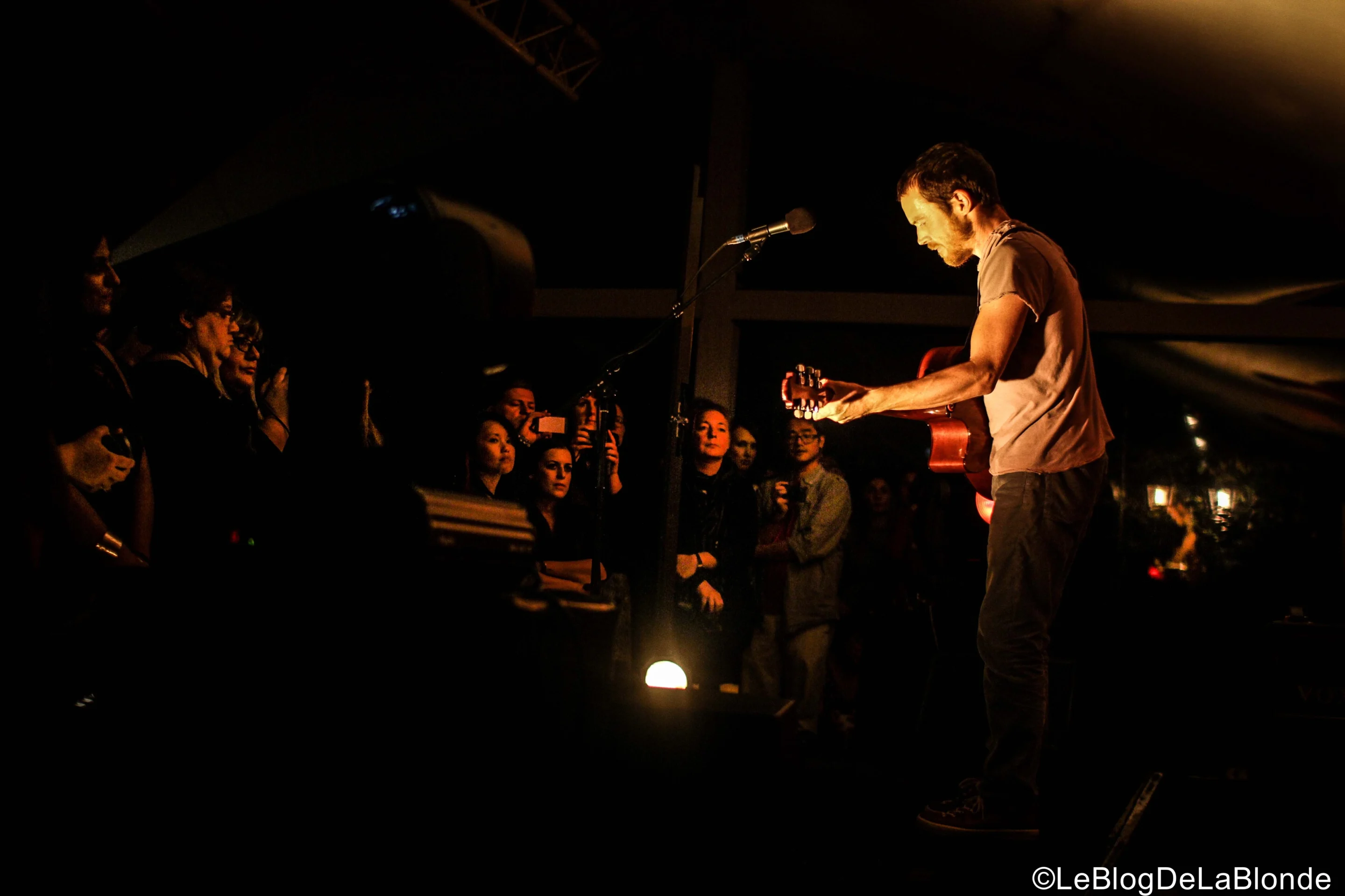 LeBlogDeLaBlonde Damien Rice Paris_-18 by Attribution 2.0 Generic CC BY 2.0 Deed