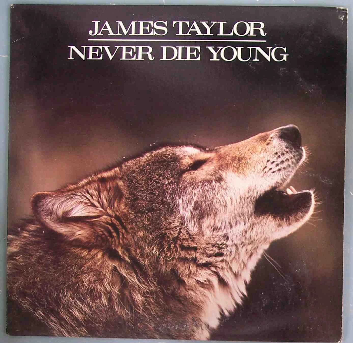 taylor, james- never die young. Image by Dr Umm. Attribution 2.0 Generic CC BY 2.0 Deed