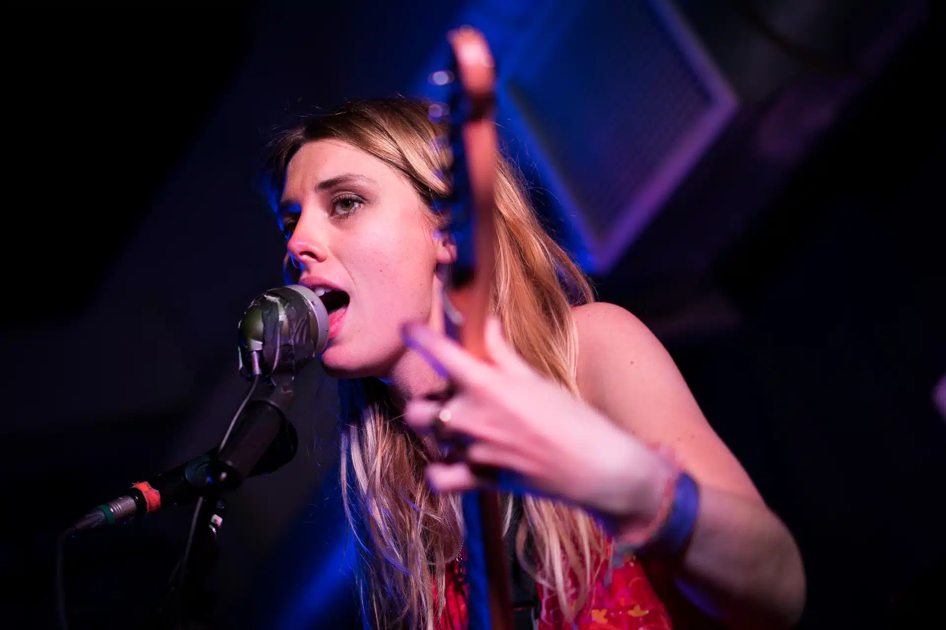 A photo of singer Ellie Rowsell performing with the band Wolf Alice. Date 23 June 2015, 22:03:47. Image by Paul Hudson. This file is licensed under the Creative Commons Attribution 2.0 Generic license. A photo of singer Ellie Rowsell performing with the band Wolf Alice. Date 23 June 2015, 22:03:47. Image by Paul Hudson. This file is licensed under the Creative Commons Attribution 2.0 Generic license.