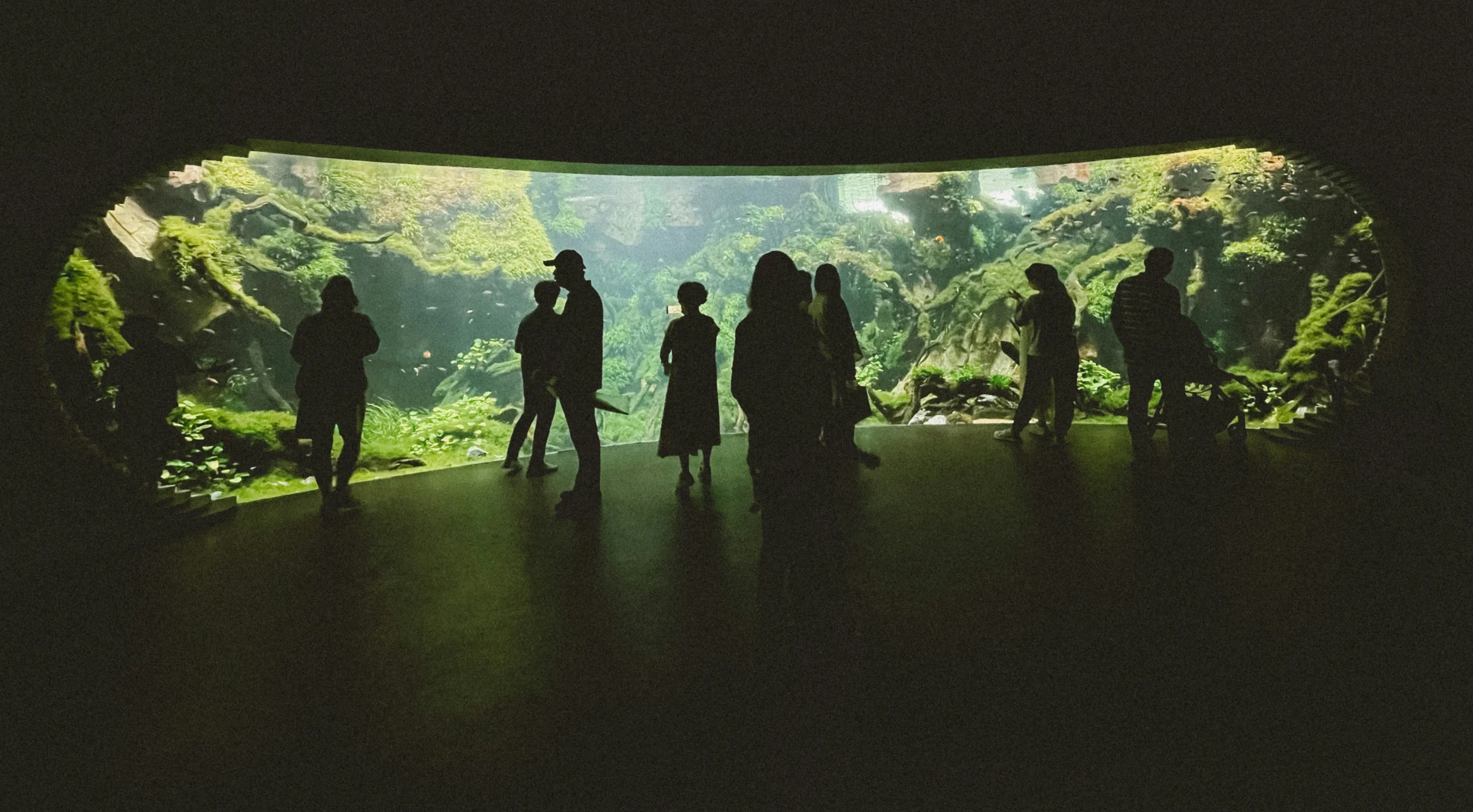 jeanna-song-Go to Jeanna Song's profile Jeanna Song jeannasong A group of people standing in a tunnel Views 18,436 Downloads 200 Published on November 14, 2024 Apple, iPhone 12 mini Free to use under the Unsplash License Go to Jeanna Song's profile Jeanna Song jeannasong A group of people standing in a tunnel Views 18,436 Downloads 200 Published on November 14, 2024 Apple, iPhone 12 mini Free to use under the Unsplash License