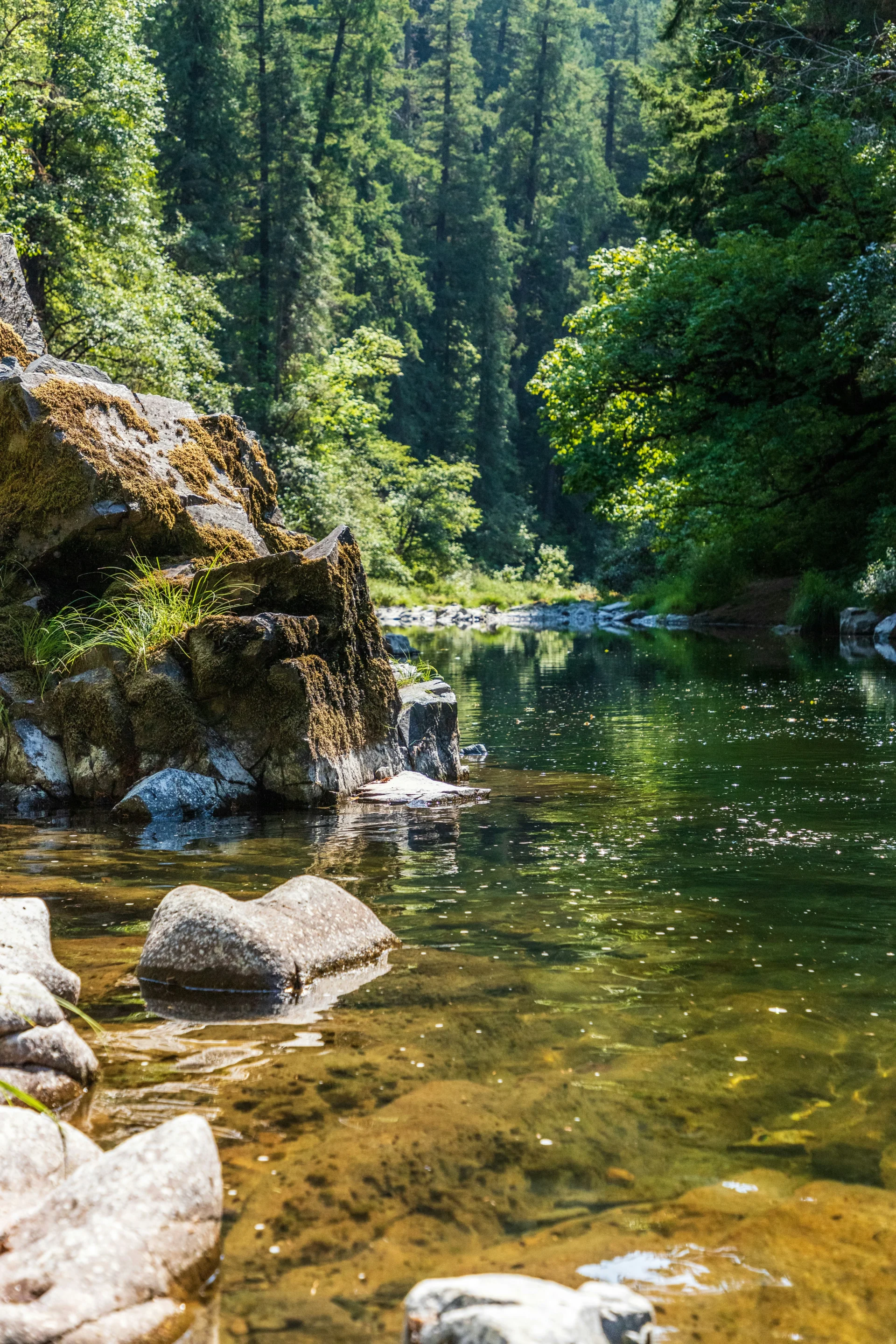 taylor-r- Published on November 11, 2020 (UTC) Canon, EOS 6D Mark II Free to use under the Unsplash Licenseiver in deep green forestwebp Published on November 11, 2020 (UTC) Canon, EOS 6D Mark II Free to use under the Unsplash LicensePublished on November 11, 2020 (UTC) Canon, EOS 6D Mark II Free to use under the Unsplash License